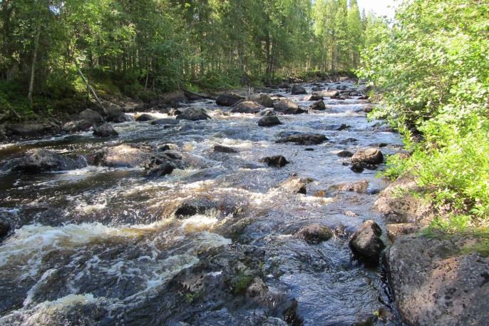 m3/s Vattenföringen var vid restaureringen relativt normal för årstiden (figur 5).