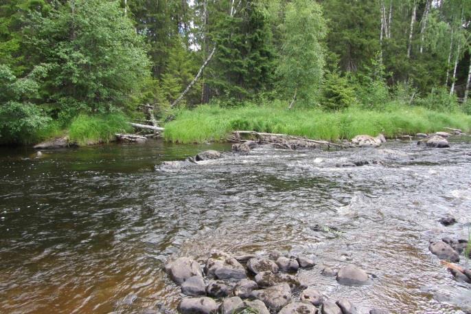 lämpliga habitat för mindre fiskar. Figur 22. Foto nr.