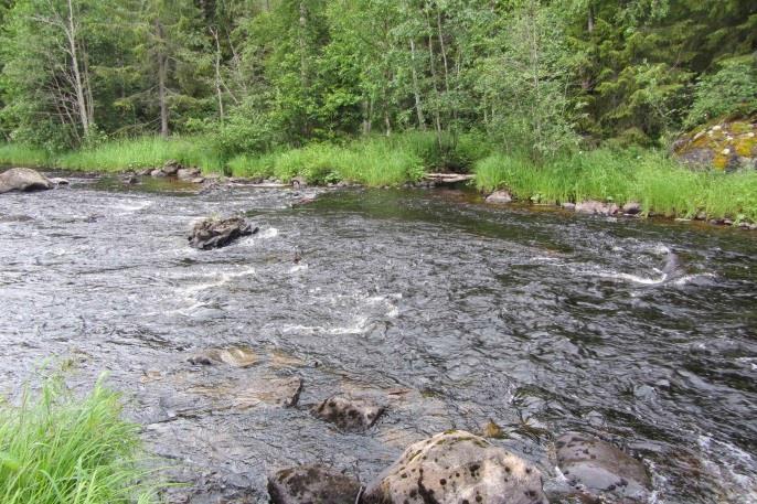 I den nedersta delen av forssträckan anlades ytterligare