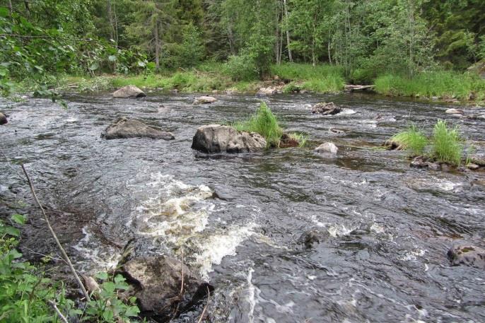 detta område där vattenhastigheten succesivt minskade och