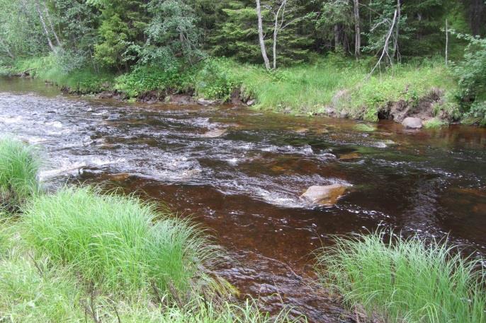 Sammanfattning Ramsan restaurerades under fyra dagar i juli 2017.