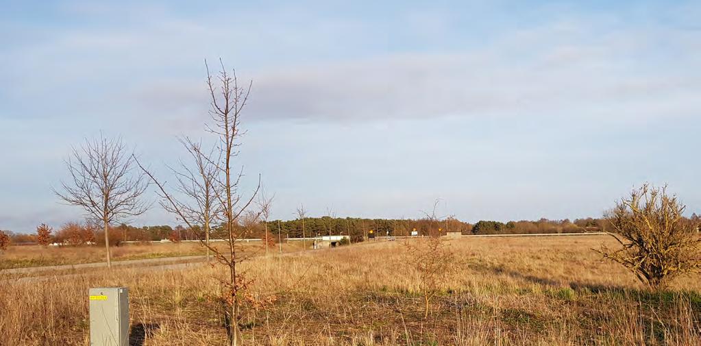 Mycket av marken omkring är