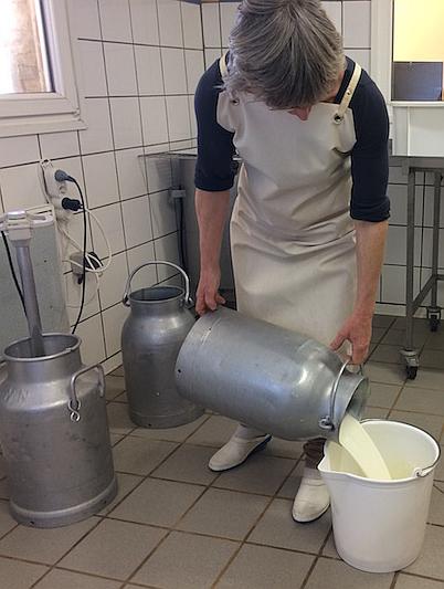 God hygien under mjölkning och