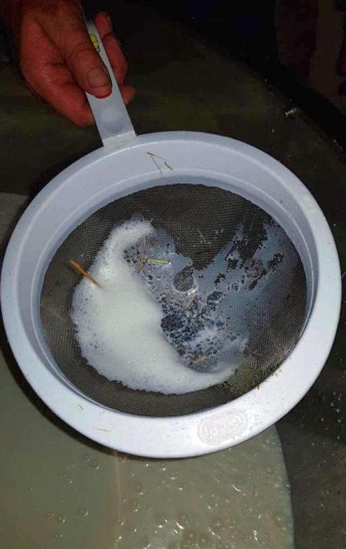 God hygien på händer, djur och kärl och ofta