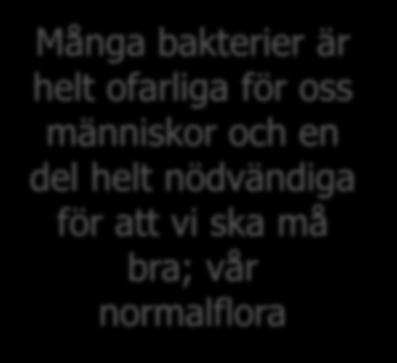 ofarliga för oss människor