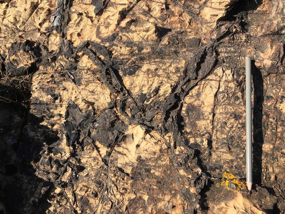 Lersprickbildningarna formar hexagonala sprickor som har bildats under torra och varma förhållanden som gör att vattnet i leran dunstar,