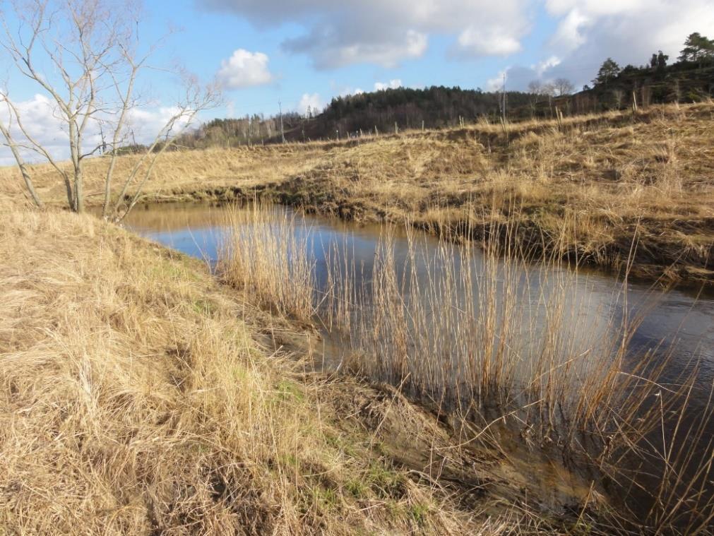 2 Område B, Kungsbackaån, vy mot öster. Bild 5.