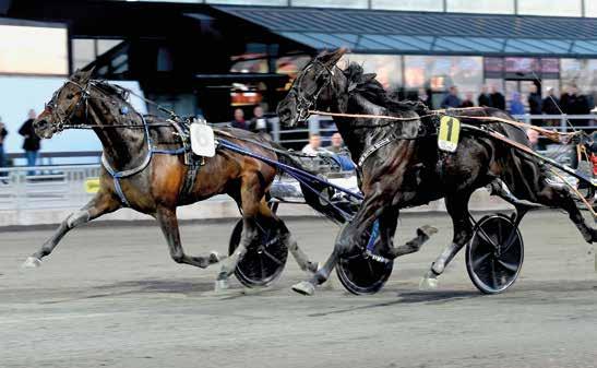 Inga fortkörningar lördag och söndag. Extraboxar kommer inte kunna delas ut. Hästar som startar söndag och anmält övernattning kan få tillgång till box efter kl.00 på lördag.