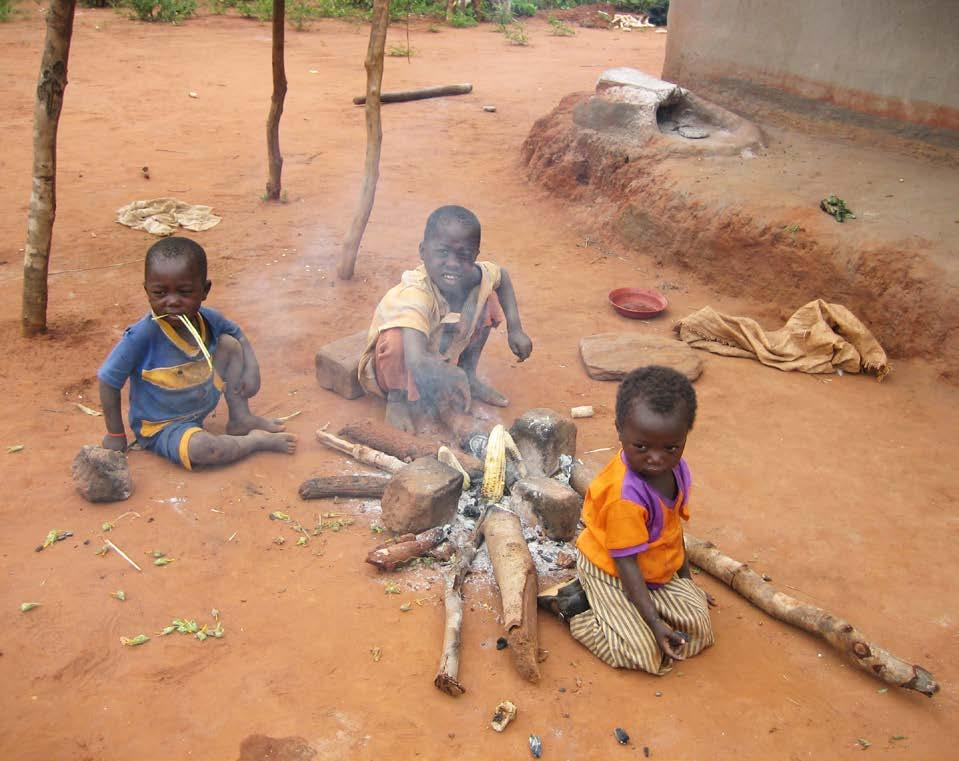 Konstgödning är dyr och Dessa familjer som inte odlar majs och inte har en egen skörd, blev en viktig grupp att inkludera i Village Developement.