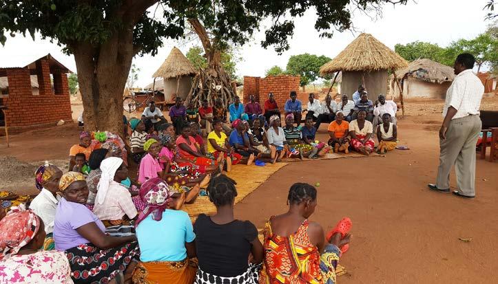 Problemet är det samma över hela Zambia. En undersökning som gjordes 2016 visade att omkring en fotbollsplan avskogas varje minut. Man säger att Zambias skogar går upp i rök!