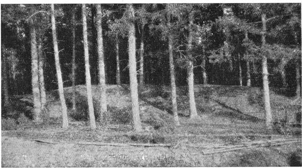 JORDLAGREN. 119 Några hundra meter N om detta fält ligger ett annat, där dyntopografien är mera typisk än inom det föregående (fig. 72-74).
