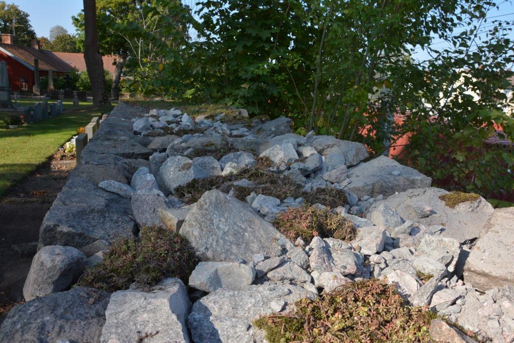 De befintliga sedumväxterna som växte på muren plockades ner och sparades under arbetets gång.