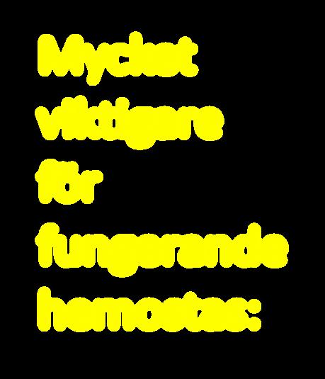hemostas: