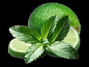 WHITE MAGGIE TEQUILA, KAHLUA, COINTREAU, KAFFE, GRÄDDE, MJÖLK. MOJITOS HITTA DIN MOJITOS FAVORIT!