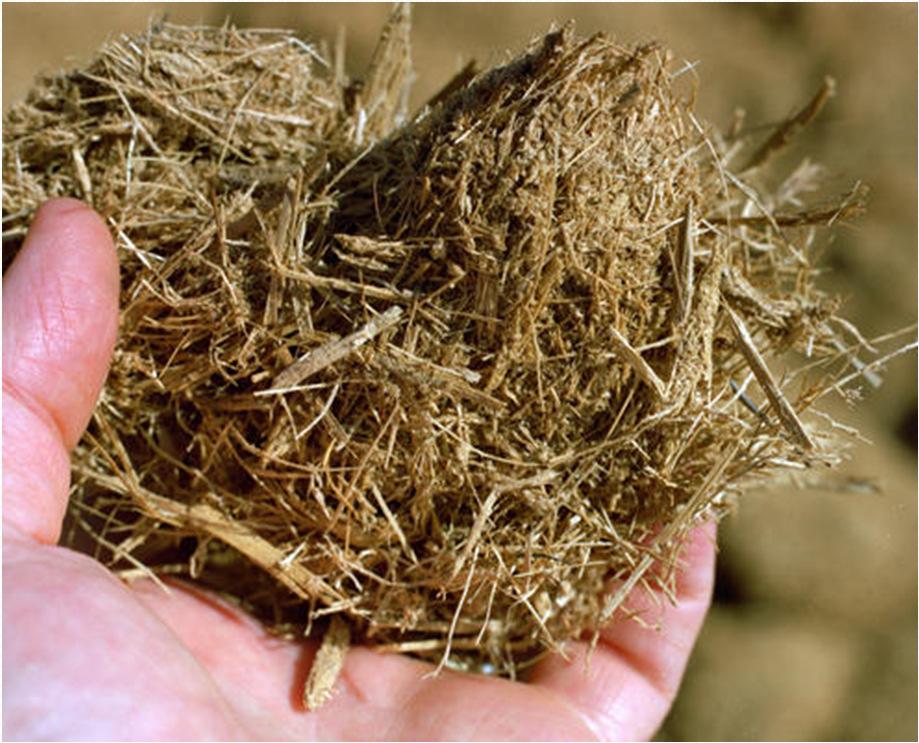 Sweet Sorghum Bagasse Higher biological value Rich in micronutrients Used as feed and good for silage making (Rao et al. 2009).