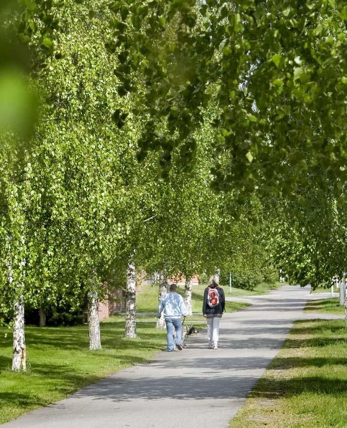 Satsning på utemiljö på Ersboda Gator- och parker, Fastighet, Fritid och Bostaden har en gemensam vision och gemensam planering för utemiljön på Östra Ersboda.
