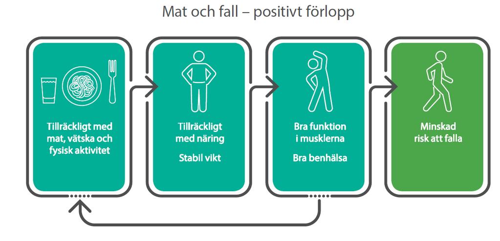 forskning som tydligt visar vilka livsmedel äldre ska äta för att minska risken för fall (8). Det finns för lite forskning om direkta samband mellan mat, näringsämnen och fall.