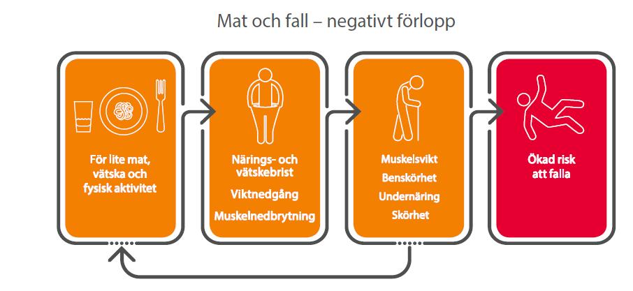 Figur 2. Mat och fall negativt förlopp Kostråd till äldre När vi blir äldre minskar energibehovet, oftast som en följd av minskad fysisk aktivitet.