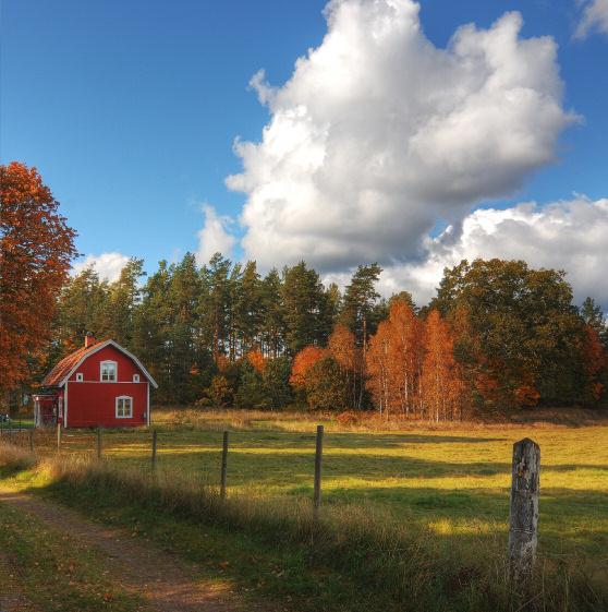 GAGNEFSBLADET ANNONSBLAD FÖR HELA GAGNEFS KOMMUN (vilket även inkluderar Mockfjärd, Dala-Floda och Björbo) samt Djura, Hedby, Rälta,