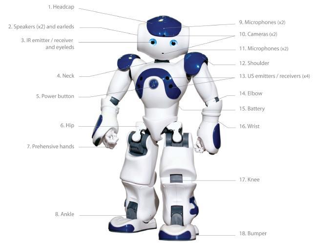 2016-08-29 17 The NAO Robot 58 cm, 5.