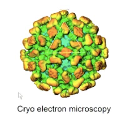 Hepatiter Transaminaser vid akut sjd: 10-100, oftast 20-40 Hepatit A anti-hav IgM vid akut sjukdom Hepatit B HBsAg posit, anti-hbc IgM Immunoglobulin och vaccin till barn, nukleos(t)idanalog till