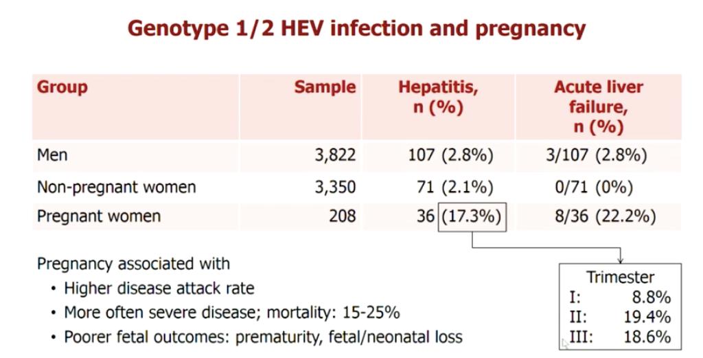 hindra individuell och global sjuklighet i kronisk hep B 2005: Barn från