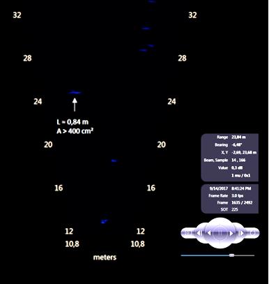 Figur 11. Skärmbild av fiskeko vid Lilla Edet, bedömt som vuxen ål. Enligt datablad kan DIDSON LR detektera fisk på upp till 80 m avstånd.