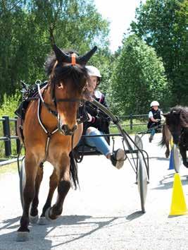 TRIO TVILLING VINNARE SOLVALLA // 0 0 M AUTOSTART -åriga och äldre 0.00 -.000 kr. Körsvenskrav kat.. 0 m. Autostart. Pris: 0.000-0.000-.000-.00-.000-(.00)-(.00) kr. START.