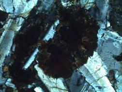 Upper left and right: biotite growing in radial fans around ilmenite,