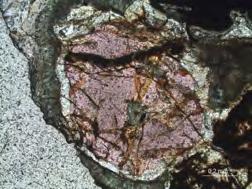 Some grains that would appear to be amphiboles based on their interference colours and order of birefringence can prove to be pyroxenes, and vice versa.