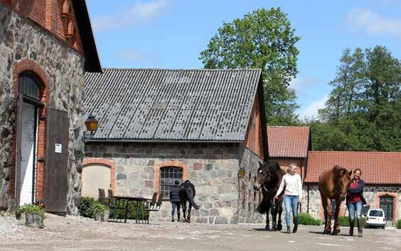 Ditt Skodateam på Michelss Bil Syrénväg -, YSTAD,