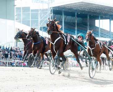 Svsson, Harpo a Tesselaar, Dion Tovek, Linda a Uhrerg, Thomas,, Untersteiner, Johan,,,9,9,0, Untersteiner, Peter,,,,,,8,8,9,,, van der Meer,