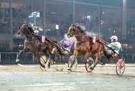 A Måleri AB, Hyssna arl Johan Jepson J /8-0 0/0,, ' Svart, vita staplar; vit Mikael J Andersson F* /9-9 /0,a, ' Ulf Ohlsson (Magnus Dahlén) Björn Goop S 8/9-8 /0 0 ug c 8,99 0' GIANT SHADOW (NL) 0: