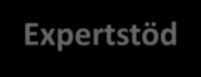 Resurser - Expertstöd Önskemål om 1 expertstöd/enhet, 1-3 st vid större enheter Utbildning i dec 2016 1 dag Heldagsutbildningen förutsätter att man gått igenom e-learning-filmerna.