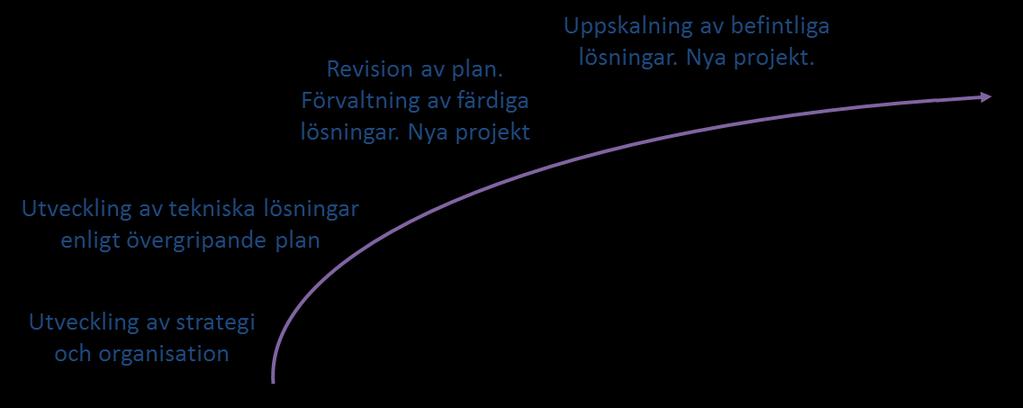 5.4. Tidsplan Införandet av IT-strategin initieras med organisatoriska anpassningar och tillsättning av roller avsedda att tillgodose att kunna förvalta och implementerad den på ett samordnat sätt