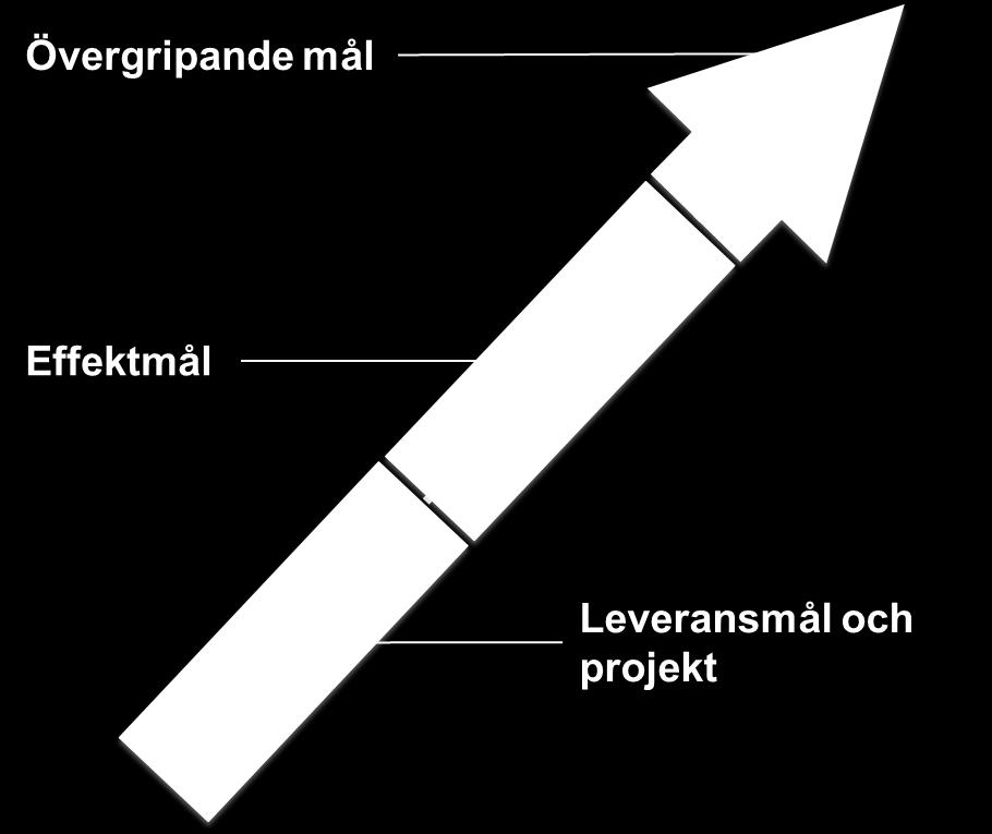3. Syfte, mål och omfattning Denna strategi skall läsas i kontexten av den strategiska planen för Biobank Sverige och de målsättningar som har tagits fram på en övergripande nivå.