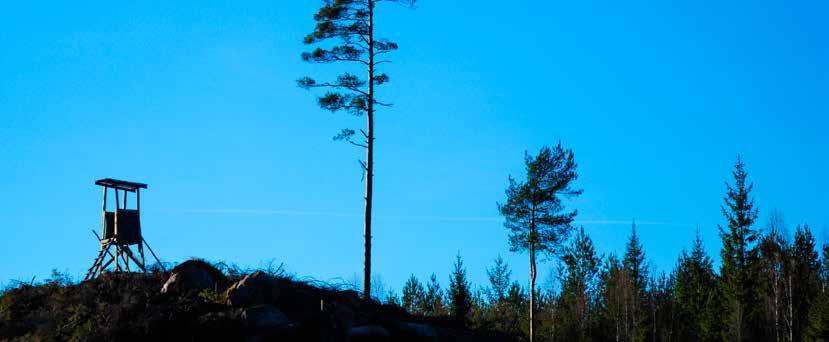 HUNTING HUNTING I vårt nya segment Hunting hittar du produkter som ser till att dina vapen håller sig i ett bra skick längre och inte tappar sin funktionalitet.