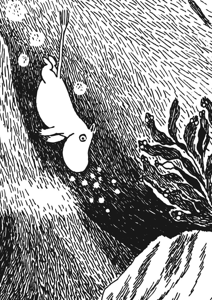 #oursea The sea is a vital part of the Moomin universe. 2020 marks the 75-year anniversary of Tove Jansson publishing her first Moomin novel.