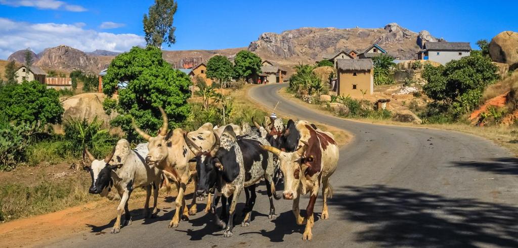 Unika Madagaskar 20 oktober 6 november 2019 Praktiska tips Klimat Madagaskar har flera klimatzoner. Längs västkusten och på södra Madagaskar är det relativt torrt året om.