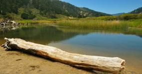 64 Topp 10: det bästa av det mesta TOPP Dagsutflykter Väldiga redwoodträd i Muir Woods Muir Woods 1 Muir Woods National Monument (415) 388-2595 Öppet 8 solnedgång dagligen Inträde www.nps.