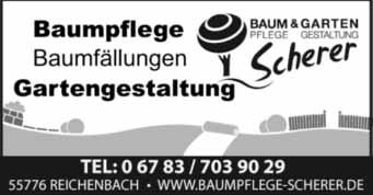 Baumholder - 19 - Ausgabe 5/2019 Die Anmeldung erfolgt bei der: Verbandsgemeindeverwaltung Birkenfeld, z. H. Fr. Schneider, Schneewiesenstr. 21, 55765 Birkenfeld oder per Fax an: 06782-990- 4136.