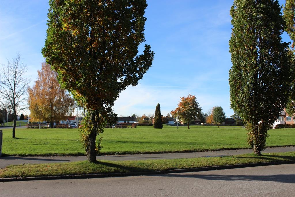 Förutsättningar Natur och kultur Området inom Ripan 14 består av gräsbevuxna ytor och två asfalterade parkeringsplatser.