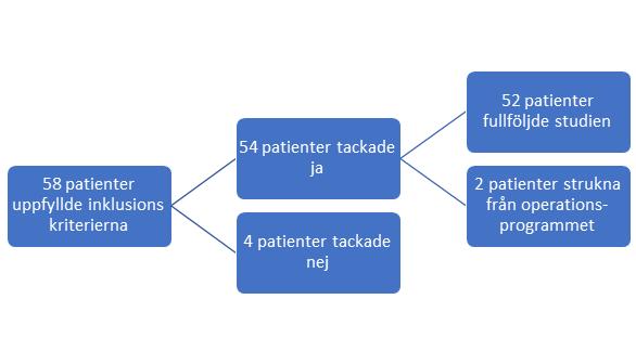 bestod av allt från mindre operationer i näsa och hals till avancerad, multidisciplinär tumörkirurgi. En majoritet av ingreppen var korta med en operationstid på under två timmar.