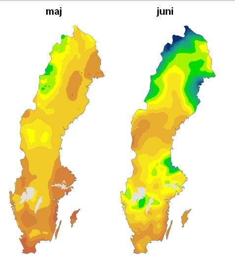 Månadsvis