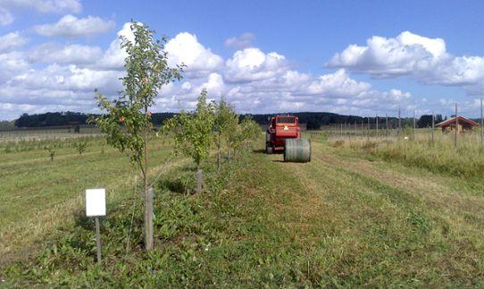 tillstånd Sprida