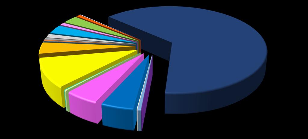 FÖRDELNING HUVUDDIAGNOSER SAMTLIGA VÅRDGIVARE JAN-DEC 2015 E - Endokrinologi 1% G - Neurologi 3% I - Hjärta-Kärl 3% H -