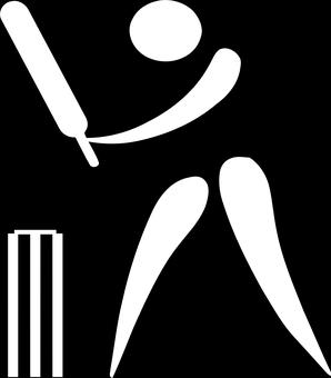 Benskydd, handskar och eventuellt hjälm. Slagträ, Grind och cricketboll. Hur gör man när man spelar cricket?
