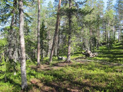 Till sist Som vanligt vill vi komma med en liten påminnelse till er som ännu inte betalt er medlemsavgift för 2013. Gör det omgående till plusgiro 41 56 12-1.