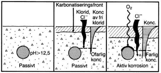 Detta neutraliserar betongens basiska tillstånd, som från början kan ha ett ph på upp mot 14, bit för bit in mot centrum av konstruktionen och bildar en så kallad karbonatiseringsfront.