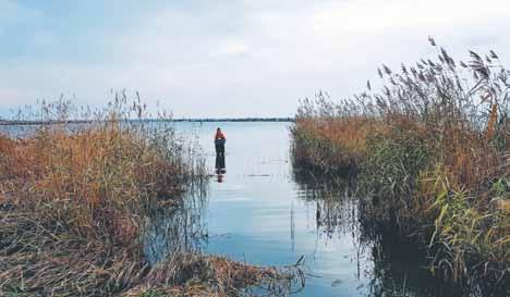 m Miljö- och Hälsoskyddsinspektör Läs allt på saco.se/yrken Som miljö och hälsoskyddsinspektör ser du till att lagar och förordningar inom miljö- och hälsoskyddsområdet följs.